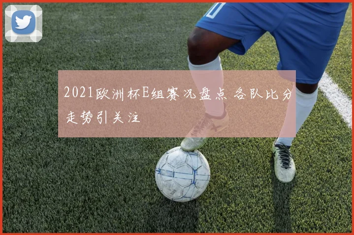 2021欧洲杯E组赛况盘点 各队比分走势引关注